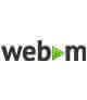 Logo webM Videoformate von A-Z: Alles was Sie darüber wissen müssen