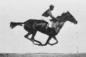 sequenziell erzählen: Pferd im Galopp: Serienfotograpie von Muybridge