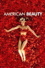 American Beauty Sprache der Blumen